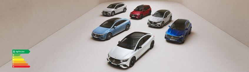 Location de voiture Mercedes-Benz et smart